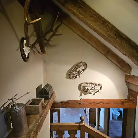 Imeda Casa Pinos